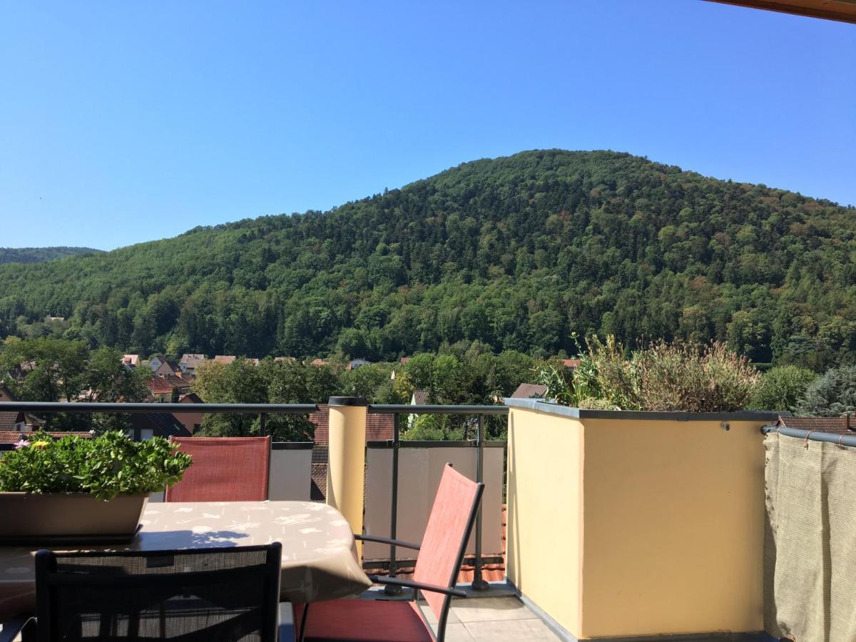 凯泽贝尔Le Panorama公寓 外观 照片